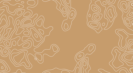 vector seamless pattern with birds. Abstract design with seamless pattern with lines topographic map. © Mira