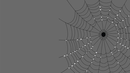 Intricate spider web with dew drops on dark background