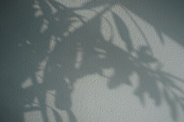 Leaf shadow on textured gray wall as background. Nature light and dark abstract shape concept for decoration or overlay.