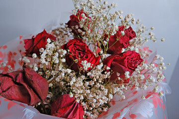 Dried red rose flower and babys breath bouquet wrapped in clear and red patterned paper. Concept of faded love, memory, or passing time. For remembrance and sympathy.