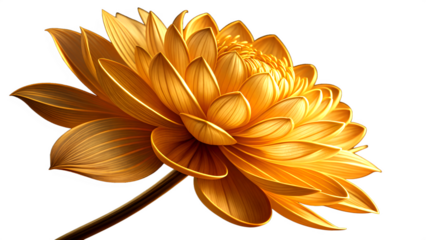 yellow flower isolated