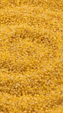 Yellow raw organic healthy millet groats grain seeds textured food background, vertical video