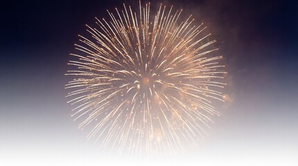 High Exposure Firework Display with Bright Golden Light Trails and Glowing Center in Night Sky