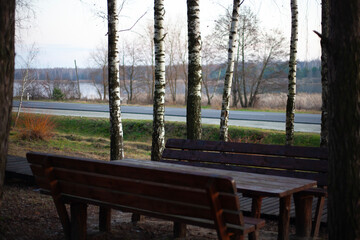 Wooden picnic table and benches at a roadside rest stop with birch trees and lake view