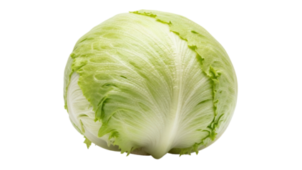 Isolated crisphead lettuce against a plain backdrop for creative recipe ideas or layouts