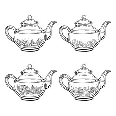Set with teapot. Medicinal tea. Hand drawn vector illustration.