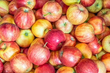 Organic Healthy Red apples, concept of fresh and healthy food