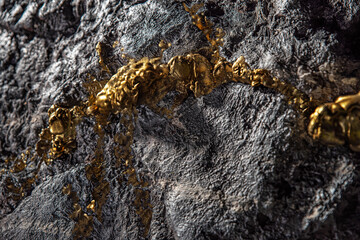 A gold vein, small pieces of gold nuggets within a rock, accumulation of gold in rocks, formed in cracks, faults, or fissures. Close up view