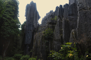 yunnan stone forest