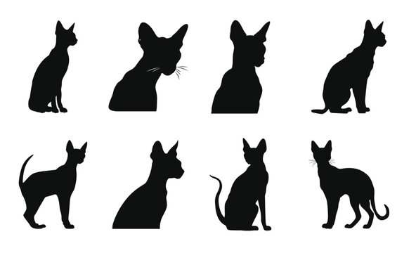 peterbald cat silhouettes vector bundle black cats 