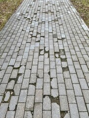 Worn Brick Pathway With Moss And Uneven Pavers, Narrow Urban Route With Weathered Grout And Small Cracks, Pedestrianfocused Composition Conveying Age And LowMaintenance Walkway Condition