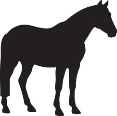Black Horse Silhouette Standing Isolated on White Background