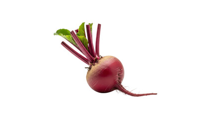 Fresh red beet with leaves on Transparent Background