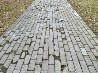 Fototapeta premium Worn Brick Pathway With Moss And Uneven Pavers, Narrow Urban Route With Weathered Grout And Small Cracks, Pedestrianfocused Composition Conveying Age And LowMaintenance Walkway Condition