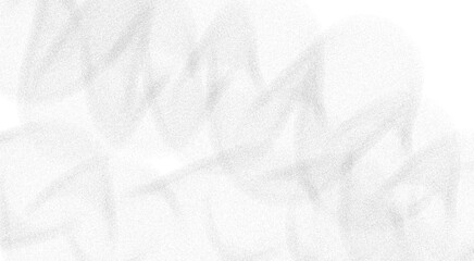 Fototapeta premium white cotton swabs