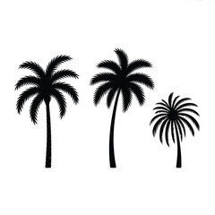 Obraz premium Three black silhouette palm trees against a plain white background