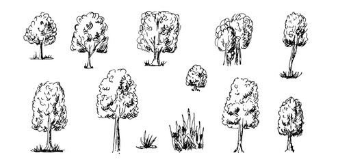 Hand-drawn tree sketches in black ink outline style. Simple doodle forest illustrations with bushes and grass. Isolated vector collection for nature design. Doodle trees isolated on transparent bg.