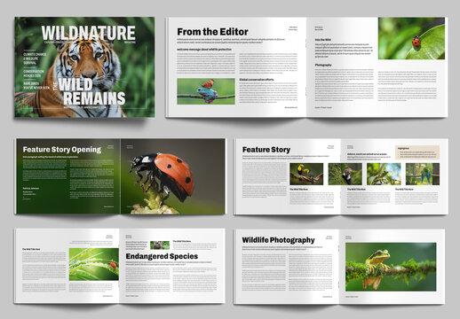 Wildlife Magazine Template