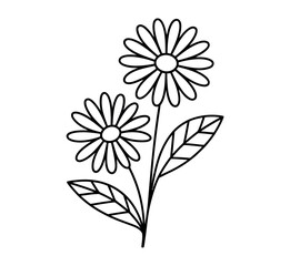 A simple line drawing of two daisies with leaves on a stem.