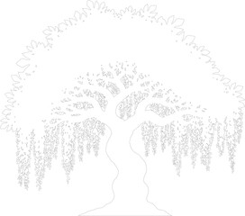 Elegant Weeping Willow Tree Line Art Vector Outline Drawing Nature Illustration © Kafi