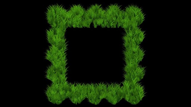 Square shaped pattern frame with growing green grass effect on plain blakc background