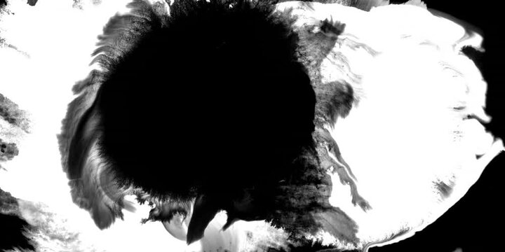 Swirling smoke or ink fluid transition effect. Steam, dust explosion. Black on white background