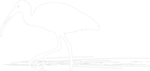 Obraz premium Minimalist line art illustration of an Ibis wading bird silhouette outline vector drawing