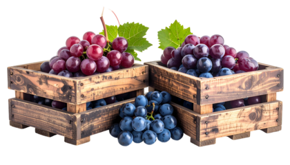 Bunches of grapes, varying colors, overflowing wooden crates, green leaves
