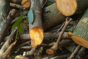 A pile of cut logs with a rough, natural bark texture.