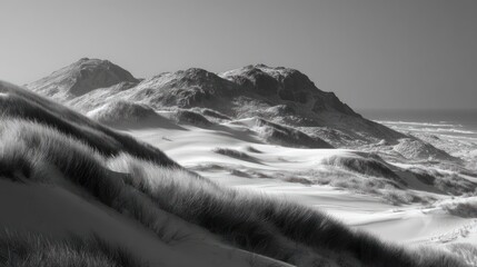 Grayscale view of dunes, grasses, distant hills, and ocean under a bright sky