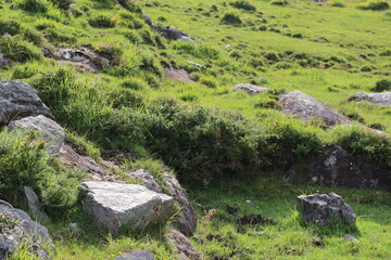 Paysage sauvage de la p&eacute;ninsule du Beara dans le comt&eacute; de Cork en Irlande