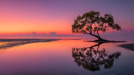 Solitary mangrove tree silhouette standing in calm water during a vibrant pink and purple sunrise with perfect reflection on the surface.