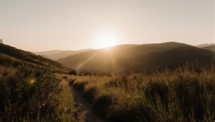 Golden Hour Sunset Over Rolling Hills and Grassy Meadow.