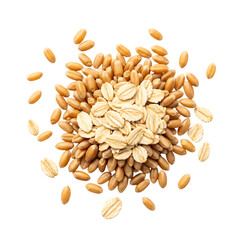 Golden wheat grains and oats scattered on black background