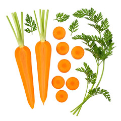 Fresh carrots and sliced carrots on black background