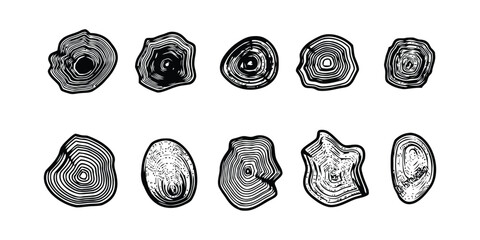 Wood Grain Circular Line Art Shapes. Abstract Organic Tree Rings Illustration Set