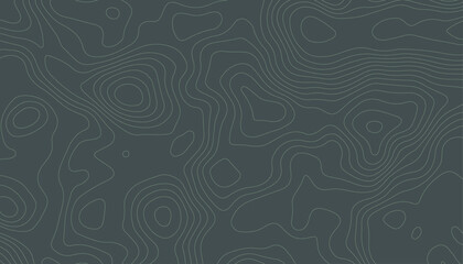 Slate Gray Topographic Contour Lines. Minimalist Topographic Map Background.