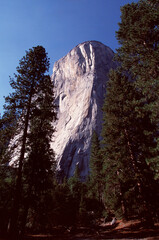 yosemite national park california usa