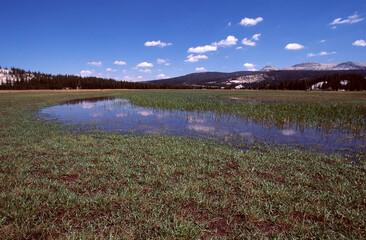 Clouds and Half Dome in Yosemite National Park