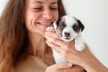 Pretty Woman holds white Puppy Dog in her arms