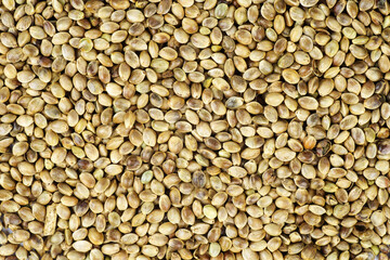 Cannabis seeds . Food background. Top view