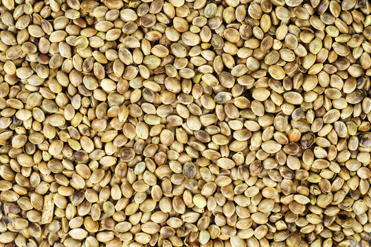 Cannabis seeds . Food background. Top view