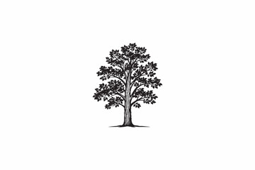 Shagbark Hickory tree vector silhouettes black image made by adobe illustrator.