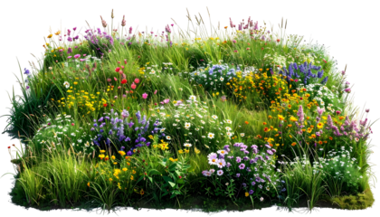 A vibrant, densely packed field of wildflowers and grasses, lush and colorful