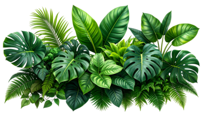Lush green tropical foliage, various leaf shapes and sizes, digitally rendered on black