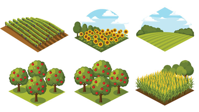 Set of six isometric farm fields and orchards with crops and trees, Generative AI.