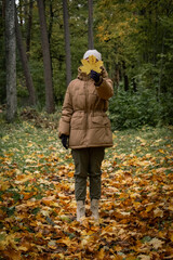 Naklejka premium in autumn forest