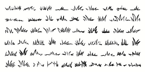 Grass line doodle. Outline grassland or meadow sketch, simple field design. Black grass brush stroke hand drawn texture for garden pattern or lawn. Herb marker vector isolated element

