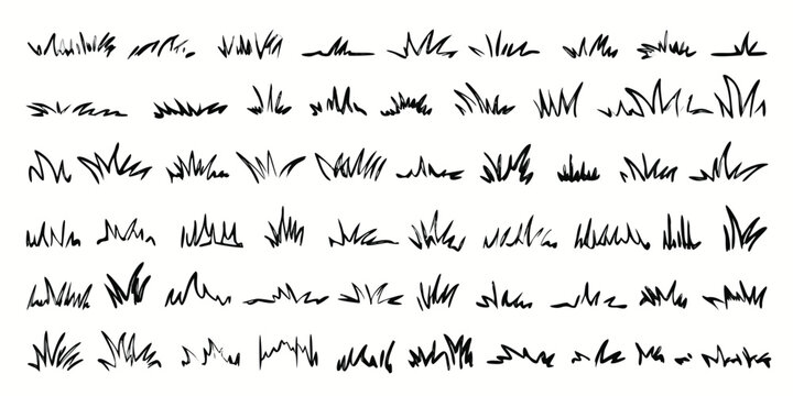 Grass line doodle. Outline grassland or meadow sketch, simple field design. Black grass brush stroke hand drawn texture for garden pattern or lawn. Herb marker vector isolated element
