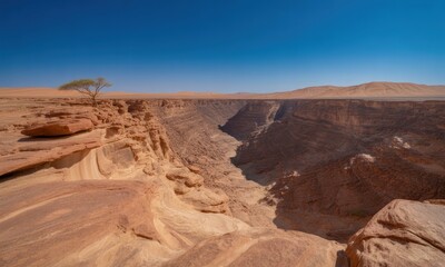 Fototapeta premium Desert canyon vista, lone tree atop a mesa